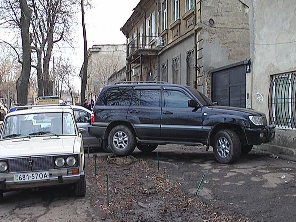 1233still0312_00001.jpg