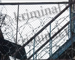 В ИВС и СИЗО сажать не будут, если &laquo;светит&raquo; меньше пяти лет