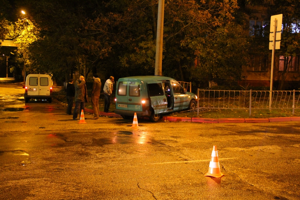11ograda2.jpg