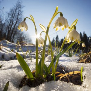 Прогноз погоди на вихідні 24–25 лютого: весна близько!