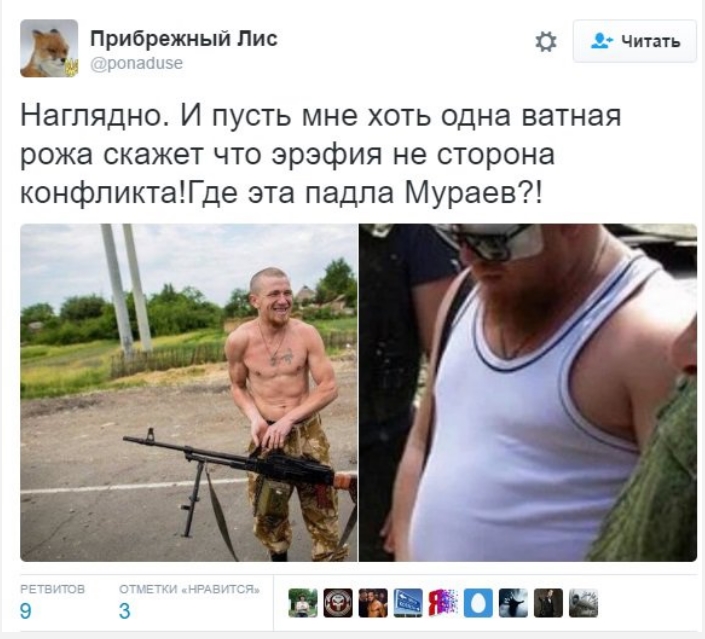 Прибрежный Лис Твиттер