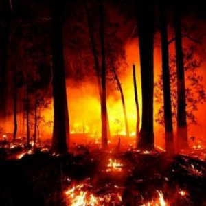 Континент в огне: в Австралии началась массовая эвакуация 