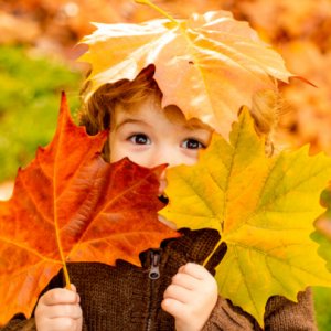 Прогноз погоди на вихідні 22–23 жовтня: все ще золота осінь