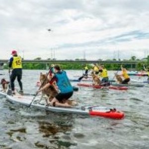 Відкриття Літнього Сезону в ІКСПАРК — Свято Спорту, Доброти та Єдності