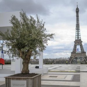 У Франції рекордна посуха: людям заборонили поливати городи і мити автівки