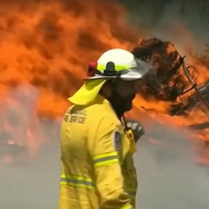 «Тікати вже пізно» – пожежі в Австралії наблизилися до Сіднею (відео) 