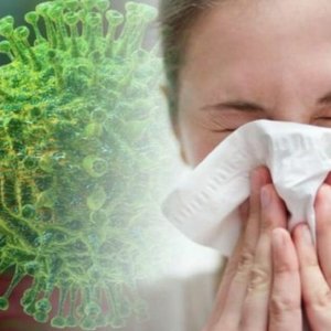 Свиной, гонконгский и Washington: в Украине будут циркулировать три штамма гриппа 