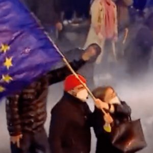 "Войдет в историю": сеть поразило видео женщины в Тбилиси с флагом ЕС против водомета (видео)